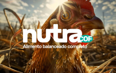 Lanzamos una nueva unidad de negocios: NUTRA COF, alimentos balanceados para productores y terceros